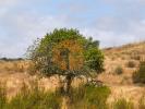 Annonce Vente Terrain CASTRO-MARIM