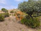 Acheter Terrain CASTRO-MARIM rgion FARO