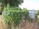 Acheter Terrain 2500 m2 ANDORINHA