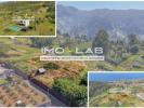 Annonce Vente Terrain PONTA-DO-SOL