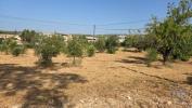 Acheter Terrain LOULE rgion FARO