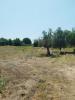 Annonce Vente Terrain ALCOBACA