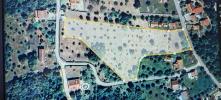 Annonce Vente Terrain FERREIRA-DO-ZEZERE