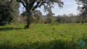 Acheter Terrain 7665 m2 FERREIRA-DO-ZEZERE