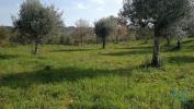 Acheter Terrain FERREIRA-DO-ZEZERE rgion SANTAREM