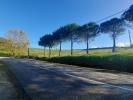 Acheter Terrain 930 m2 CADAVAL