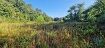 Acheter Terrain 7500 m2 MAFRA