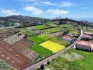 Acheter Terrain 480 m2 CALHETA
