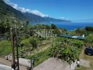 Annonce Vente 2 pices Maison SAO-VICENTE