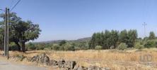 Annonce Vente Terrain PENAMACOR