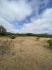 Annonce Vente Terrain SAO-BRAS-DE-ALPORTEL