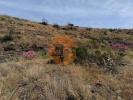 Acheter Terrain VILA-REAL-DE-SANTO-ANTONIO rgion FARO