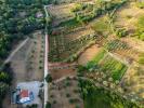 Annonce Vente Terrain FERREIRA-DO-ZEZERE