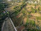 Acheter Terrain 4160 m2 FERREIRA-DO-ZEZERE
