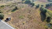 Annonce Vente Terrain FERREIRA-DO-ZEZERE