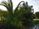 Acheter Terrain FERREIRA-DO-ZEZERE rgion SANTAREM
