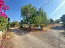 Annonce Vente Maison OLHAO