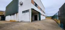 Acheter Local industriel 569 m2 OLIVEIRA-DO-BAIRRO