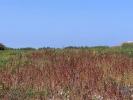 Acheter Terrain PENICHE rgion LEIRIA