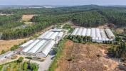 Acheter Local commercial CAMPELOS rgion LISBOA