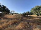 Annonce Vente Terrain FARO