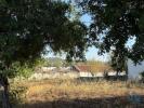 Acheter Terrain 3280 m2 FARO