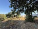 Acheter Terrain FARO rgion FARO