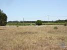 Acheter Terrain 2662 m2 CANHA
