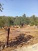 Annonce Vente Terrain LOULE