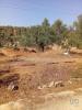 Acheter Terrain LOULE rgion FARO