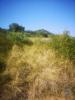 Acheter Terrain 1990 m2 MAFRA