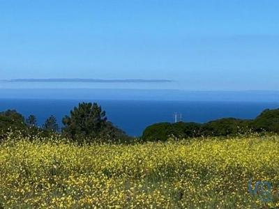 Annonce Vente Terrain Sesimbra