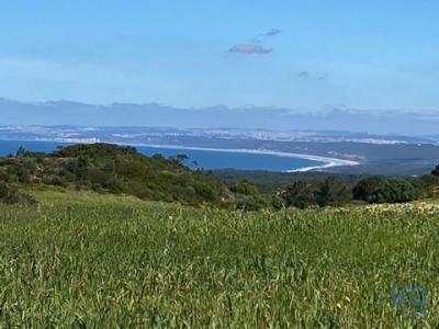 Acheter Terrain 240 m2 Sesimbra