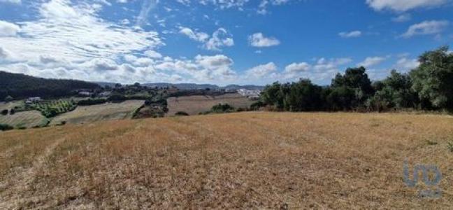 Annonce Vente Terrain Azueira