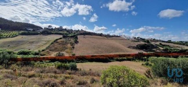 Acheter Terrain 31600 m2 Azueira