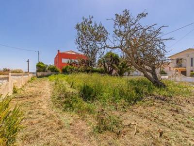 Annonce Vente Terrain Mafra