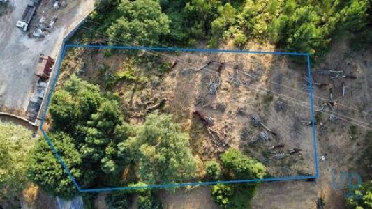 Annonce Vente Terrain Castanheira-de-pera
