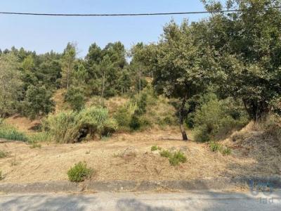Annonce Vente Terrain Leiria