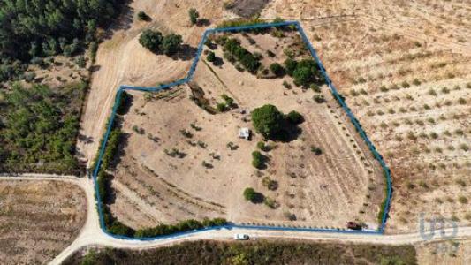 Annonce Vente Terrain Proenca-a-nova
