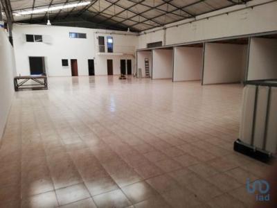 Annonce Vente Local industriel Ferreira-do-zezere