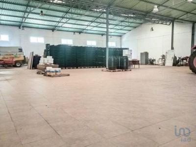 Acheter Local industriel 1200 m2 Ferreira-do-zezere