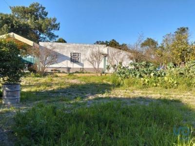 Annonce Vente Terrain Arraiados