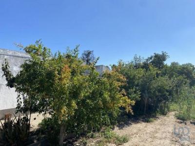 Acheter Terrain 50 m2 Arraiados