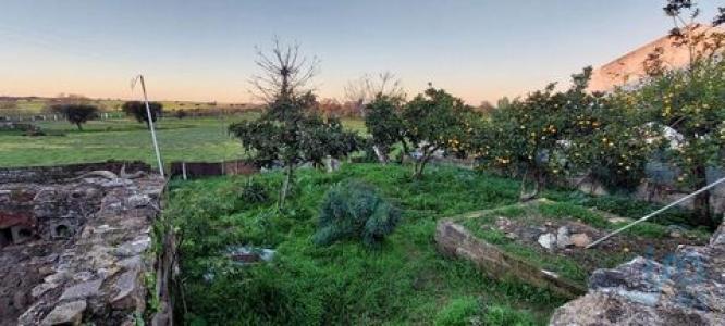 Acheter Terrain 260 m2 Alvito