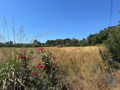 Annonce Vente Terrain Aveiro