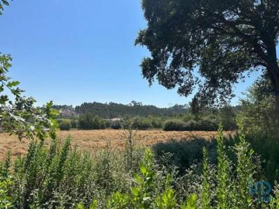 Acheter Terrain 240 m2 Aveiro