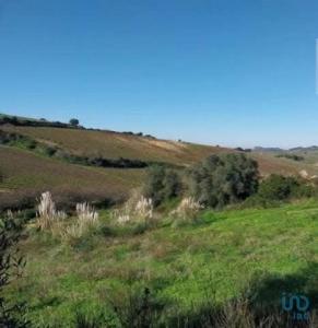 Annonce Vente Terrain Campelos