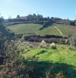Acheter Terrain 32767 m2 Campelos