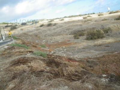 Annonce Vente Terrain Porto-santo