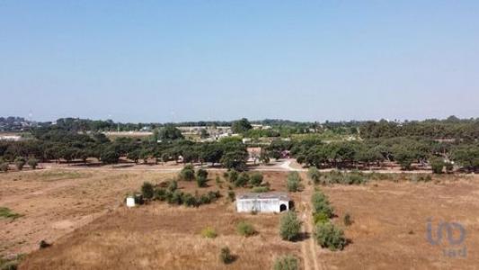 Annonce Vente Terrain Palmela